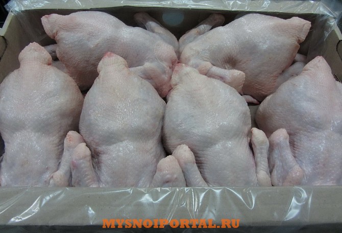 Тушка цыплят-бройлеров 1 сорт Самара - изображение 1