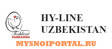Предлагаем: Яичный порошок Ташкент - изображение 1