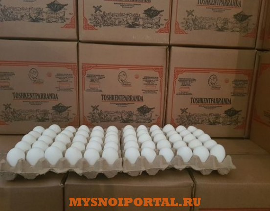 Предлагаем: яйцо куриное Ташкент - изображение 1