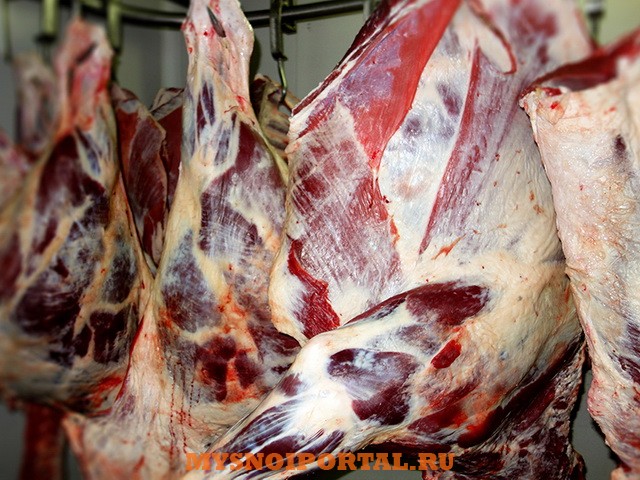 Говядина н/к, б/к, Мясо цыплят бройлера, куриное филе Самара - изображение 1