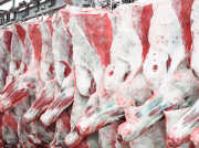 Мясо говядины и мясо куриное оптовые поставки доставка из г.Смоленск