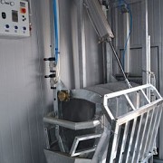 Мобильная модульная бойня свиней доставка из г.Саранск