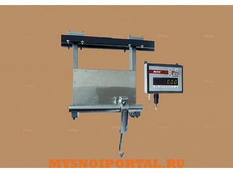 Весы монорельсовые Саранск - изображение 1