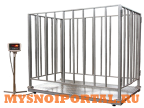 Весы платформенные Саранск - изображение 1