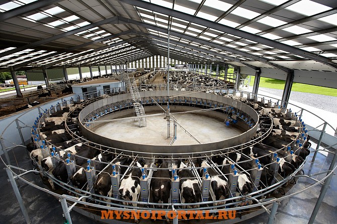 Доильные Залы «Карусель» Саранск - изображение 1
