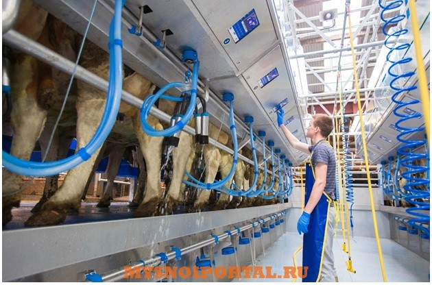 Доильные Залы «Параллель» Саранск - изображение 1