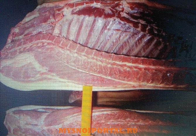 Продам свинину Москва - изображение 1