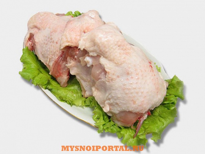 Куплю спинно-лопаточную часть ЦБ зам Ростов-на-Дону - изображение 1