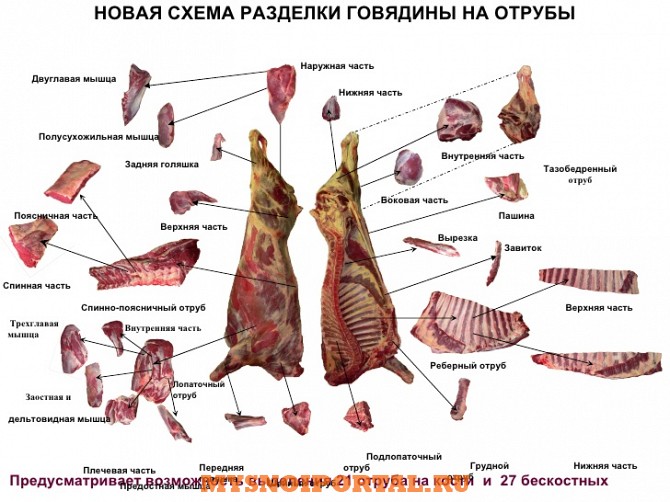 Предлагаем: говядину разделку Москва - изображение 1