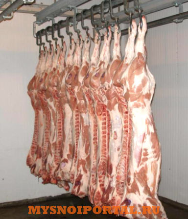 Предлагаем: мясо дикого северного оленя Красноярск - изображение 1