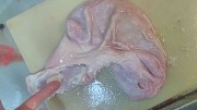 Продаю Желудки свиные Охл/Зам, от 100 кг, от 1 тонны  в Липецке  Липецк