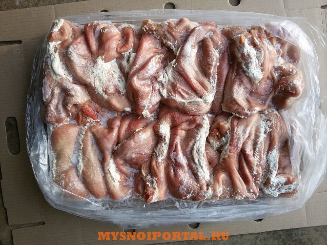 Продаю Желудки свиные Охл/Зам, от 100 кг, от 1 тонны в Липецке Липецк - изображение 1