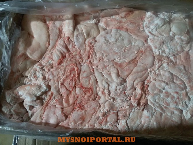 Продаю Жир Свиной РФ, Охл/Зам, от 100 кг в Липецке Липецк - изображение 1