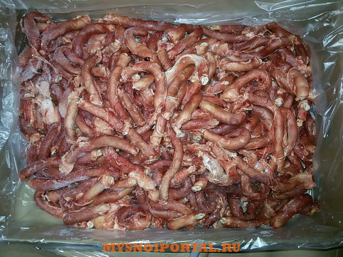 Продаю Пищевод свиной РФ Охл/Зам, от 100 кг, от 1 тонны в Липецке Липецк - изображение 1