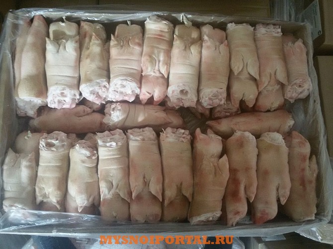 Продаю Ноги свиные РФ Охл/Зам, от 100 кг, от 1 тонны в Липецке Липецк - изображение 1