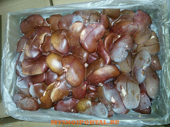 Продаю Почки свиные Халяль, РФ Охл/Зам, от 100 кг, от 1 тонны в Липецке Липецк - изображение 1