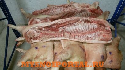 Продаю Туши свиные в Липецке Липецк - изображение 1