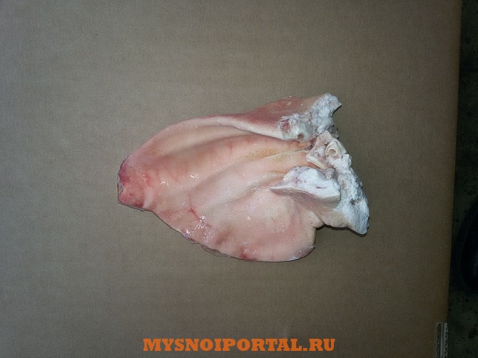 Продаю Уши свиные РФ Охл/Зам, от 100 кг, от 1 тонны в Липецке Липецк - изображение 1