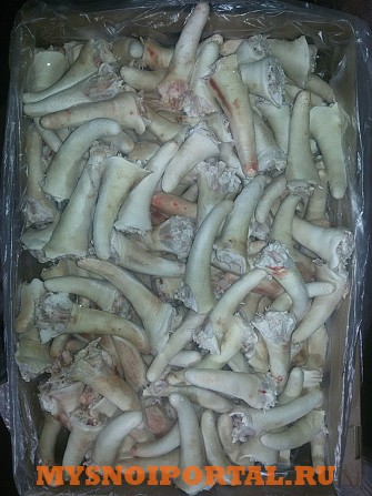 Продаю Хвосты свиные РФ Охл/Зам, от 100 кг, от 1 тонны в Липецке Липецк - изображение 1