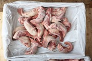 Продаю Языки свиные РФ ТД Отрада, Охл/Зам, от 100 кг, от 1 тонны  в Липецке  доставка из г.Липецк