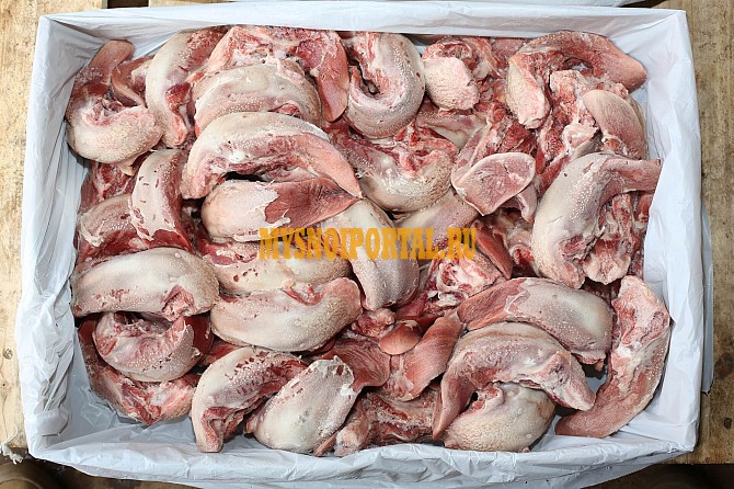 Продаю Языки свиные РФ ТД Отрада, Охл/Зам, от 100 кг, от 1 тонны в Липецке Липецк - изображение 1