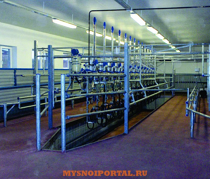 Доильные Залы «Елочка» Саранск - изображение 1