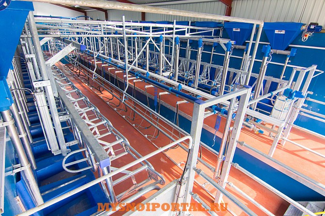 Доильные Залы «СвингОвер» Саранск - изображение 1