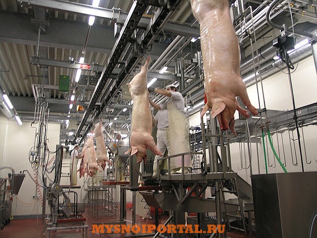 Убойный цех Саранск - изображение 1