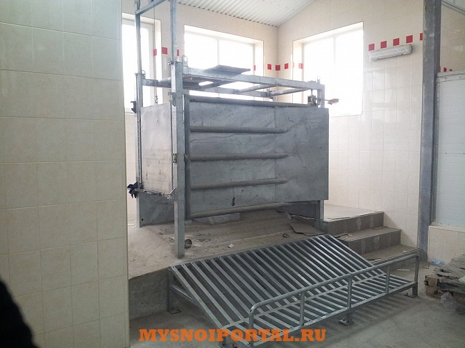 Линия убоя КРС и МРС Саранск - изображение 1