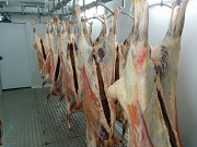 Мини бойня для МРС Саранск