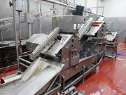 Линии для очистки говяжьих кишок Саранск