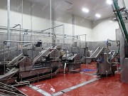 Линии для очистки говяжьих кишок Саранск