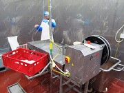 Машина калибровочная для черевы Саранск