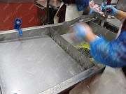 Стол для вскрытия желудков Саранск