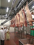 Убойный цех универсальный Саранск
