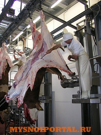 Убойный цех универсальный Саранск - изображение 1
