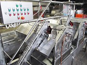 Линия для очистки свиных кишок Саранск