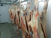 Мини бойня МРС Саранск
