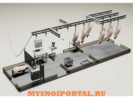 Модуль убоя свиней с холодильником, 30 голов смена Саранск - изображение 1