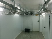 Модуль убоя МРС с холодильником, 240 голов смена Саранск