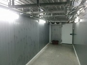 Модуль для убоя МРС, до 240 голов смена (люкс), Новый в Саранске  доставка из г.Саранск