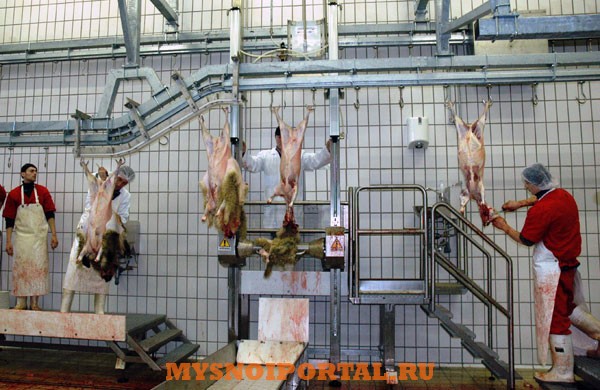 Шкуросьем Саранск - изображение 1