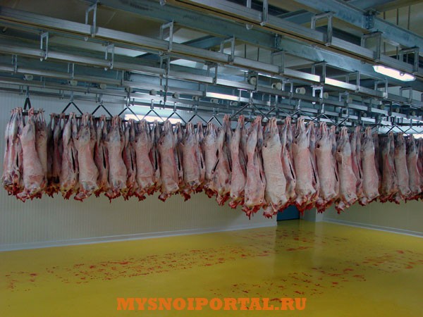 Линия убоя МРС Охлаждение и хранение Саранск - изображение 1