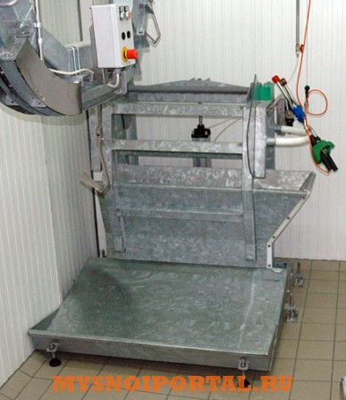 Линия убоя МРС Оглушение Саранск - изображение 1