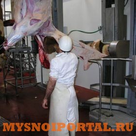 Шкуросьем Саранск - изображение 1