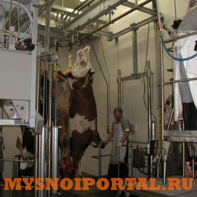 Оглушение Саранск - изображение 1