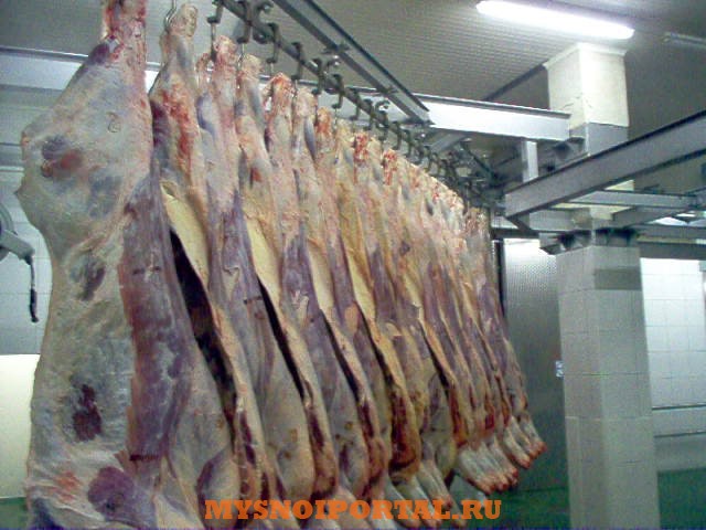 Охлаждение Саранск - изображение 1