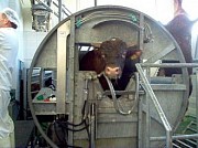 Линия убоя КРС Оглушение Саранск
