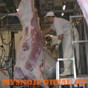 Линия убоя КРС Нутровка Саранск - изображение 1