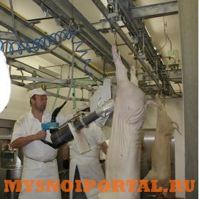 Линия убоя свиней Нутровка Распил Саранск - изображение 1